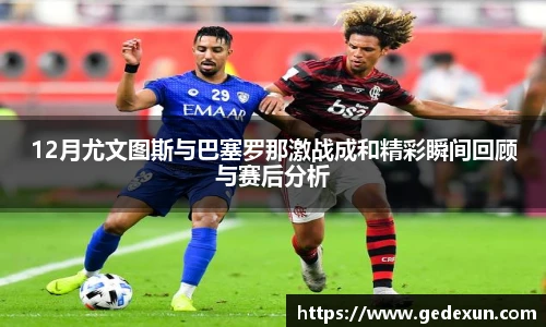 Vsport体育官网版